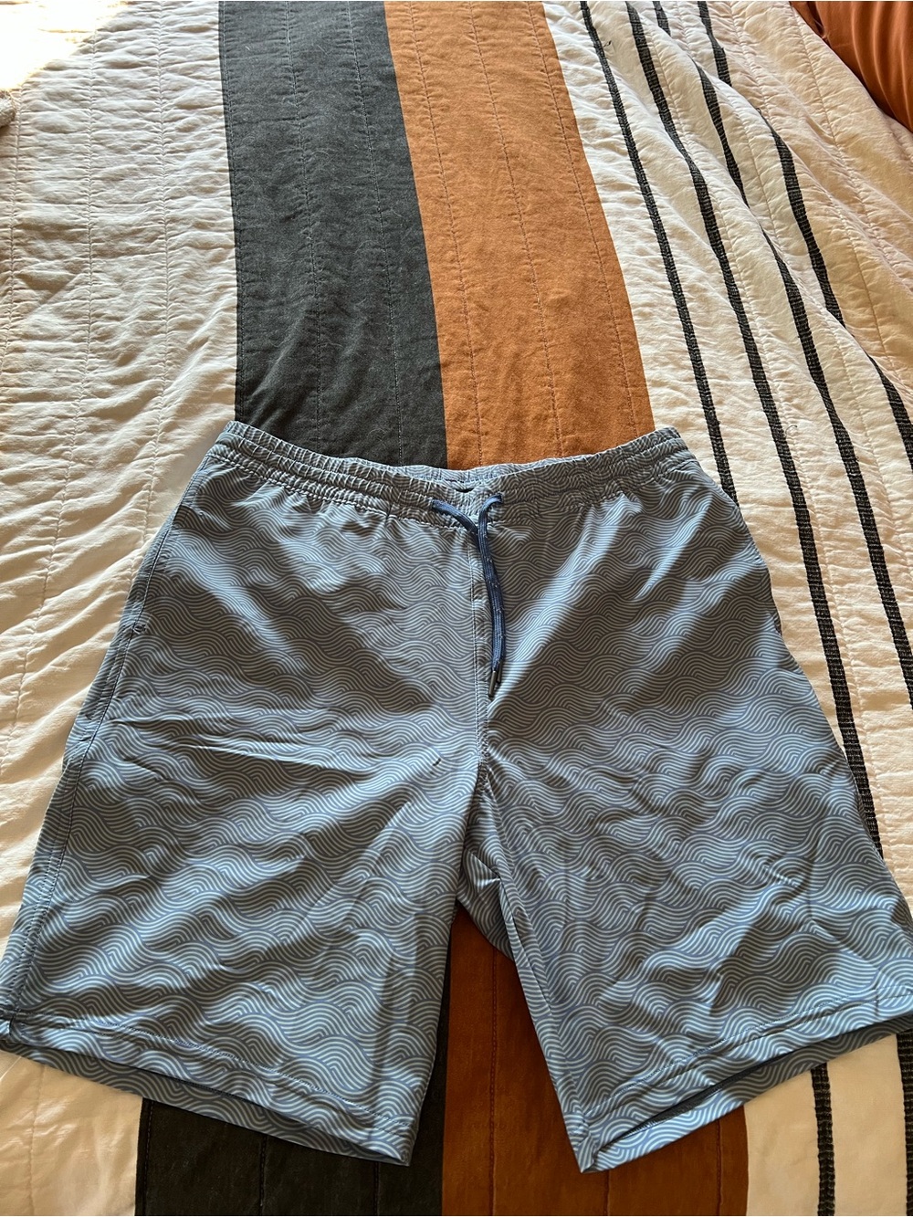 Quince Light Blue Mesh-Lined Swim Shorts